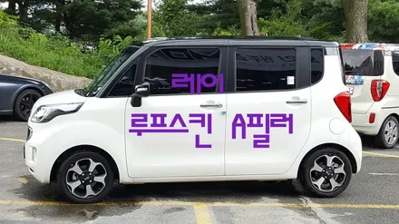 레이 루프스킨 A필러유광블랙 / 원주시 무실동