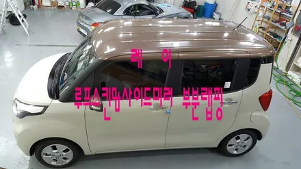 레이 루프스킨 브라운투톤 / 원주시 무실동