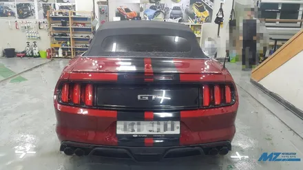 머스탱 GT 바이퍼라인 상남자포스 / 원주시 무실동