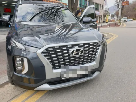 경기 광주 썬팅 전문점 현대자동차 펠리세이드 루마 버텍스 썬팅 재시공기 / 광주 송정동