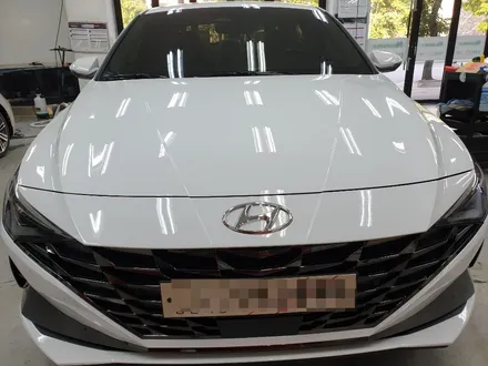 경기 광주 루마 썬팅 전문점 제대로 시공 받고 빈틈없이 피부 관리하자 2020 현대 아반떼 루마 래티튜드 시공기 / 광주 송정동