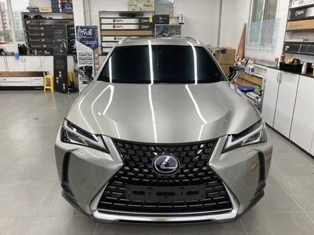 렉서스 UX250h 글라스틴스 선셋으로 색깔 입히기!!
