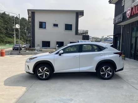 렉서스 NX300h 글라스틴스 선셋 필름으로 시공하기!![진주오토팩토리]