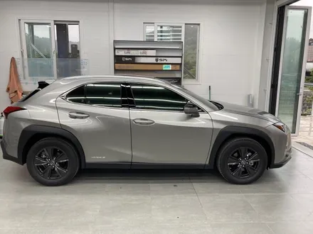 렉서스 UX250h 글라스틴스 선셋으로 색깔 입히기!!
