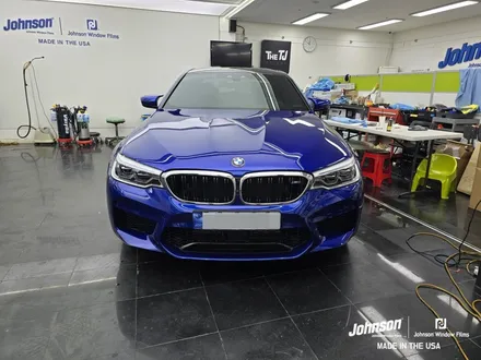 BMW M5 헤드라이트 PPF로 돌빵 방지하자!!! / 영등포구 당산동