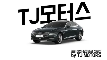 제네시스 G80에 고스트도어가 없다면, 달면 된다. / 영등포구 당산동