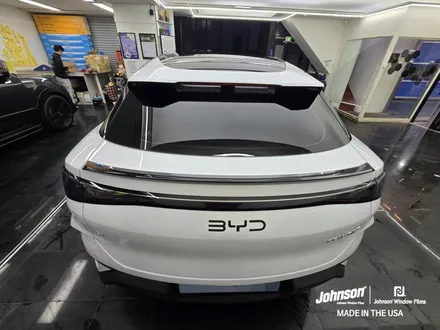 BYD 씨라이언7 존슨 PPF 디자인팩. 살펴보기 / 영등포구 당산동