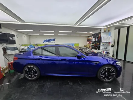 BMW M5 헤드라이트 PPF로 돌빵 방지하자!!! / 영등포구 당산동