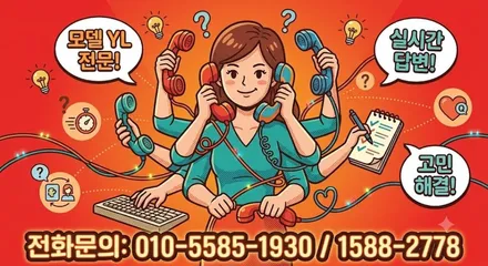 와 미쳤다! 테슬라 모델YL 코스믹 실버와 존슨썬팅의 패키지들 / 영등포구 당산동