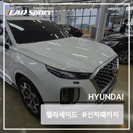 팰리세이드 화이트 크림, 방음 A + 시트를 언더코팅으로 대체 후 시공! / 김해시 어방동