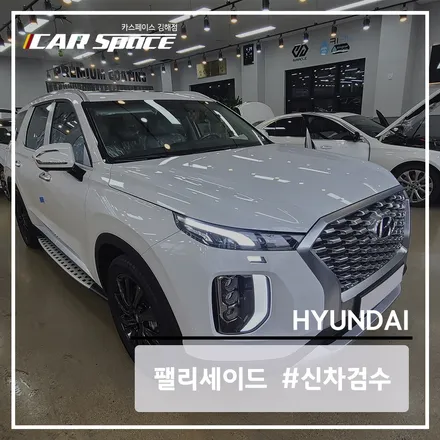 팰리세이드의 화이트에서 발견된 6가지의 하자 내역! / 김해시 어방동