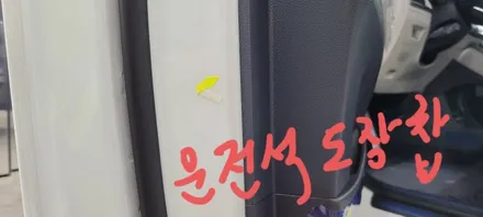 팰리세이드 화이트 색상를 신차검수 리스트를 활용해 검수해 본 결과 / 김해시 어방동