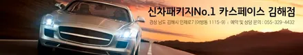 유리막, PPF, 틴팅 등의 작업을 한 번에 진행하는 카스페이스 / 김해시 어방동