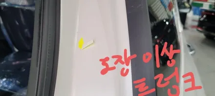팰리세이드 화이트 색상를 신차검수 리스트를 활용해 검수해 본 결과 / 김해시 어방동