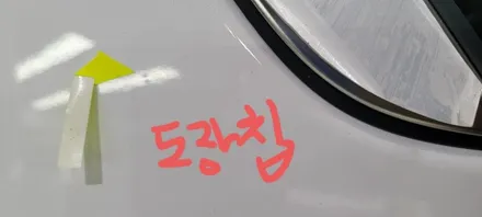 팰리세이드 화이트 색상를 신차검수 리스트를 활용해 검수해 본 결과 / 김해시 어방동
