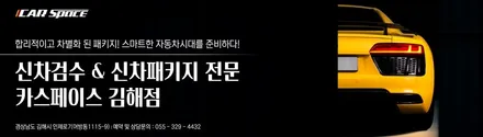 인수 결정을 받았다면 바로 카스페이스 김해점에서 신차패키지 작업! / 김해시 어방동