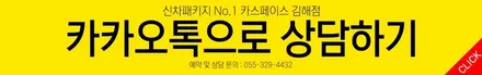 팰리세이드 화이트 색상를 신차검수 리스트를 활용해 검수해 본 결과 / 김해시 어방동