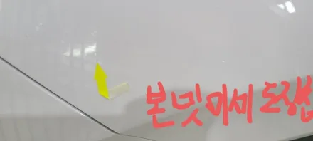 팰리세이드 화이트 색상를 신차검수 리스트를 활용해 검수해 본 결과 / 김해시 어방동