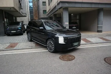 팰리세이드 LX3 크롬죽이기 이 가격이면 안 할 이유가 없죠? / 용인시 기흥구 농서동