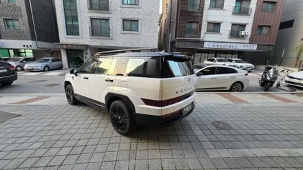 싼타페 mx5 하이브리드 투톤 루프스킨 블랙 PPF 5월 이벤트! / 용인시 기흥구 농서동