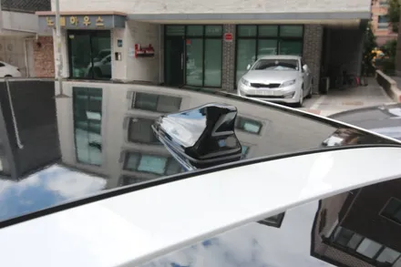 스팅어 루프스킨 적절한 가격으로 좋은 튜닝 효과! / 용인시 기흥구 농서동