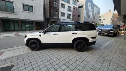 싼타페 mx5 하이브리드 투톤 루프스킨 블랙 PPF 5월 이벤트! / 용인시 기흥구 농서동