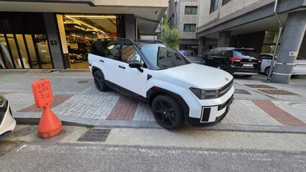싼타페 mx5 하이브리드 투톤 루프스킨 블랙 PPF 5월 이벤트! / 용인시 기흥구 농서동