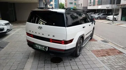 [못 참지] 출고 후 싼타페 MX5 루프스킨 투톤 블랙 PPF / 용인시 기흥구 농서동