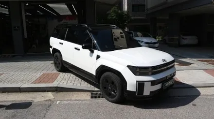싼타페 MX5 블랙 PPF 투톤 루프스킨 / 이쁘니까 해야 하는 추천 튜닝! / 용인시 기흥구 농서동