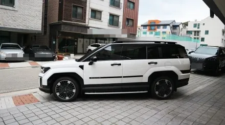 [못 참지] 출고 후 싼타페 MX5 루프스킨 투톤 블랙 PPF / 용인시 기흥구 농서동