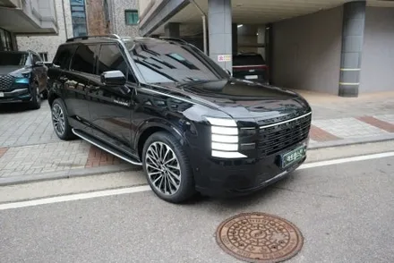 팰리세이드 LX3 크롬죽이기 이 가격이면 안 할 이유가 없죠? / 용인시 기흥구 농서동