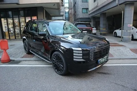 팰리세이드 LX3 크롬죽이기 이 가격이면 안 할 이유가 없죠? / 용인시 기흥구 농서동