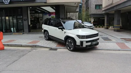싼타페 mx5 투톤 루프스킨으로 외관 튜닝 끝? 사이버 세이지 펄 / 용인시 기흥구 농서동