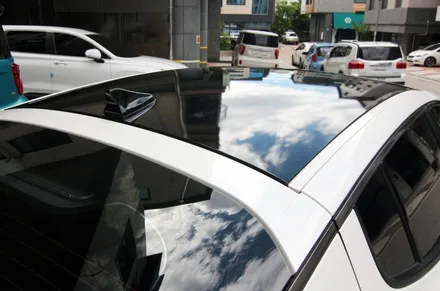 스팅어 루프스킨 적절한 가격으로 좋은 튜닝 효과! / 용인시 기흥구 농서동