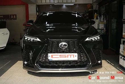 렉서스NX450 마크레빈슨 순정 오디오 시스템 개선을 위한 카오디오 튜닝 / 서울 양천구 강서구