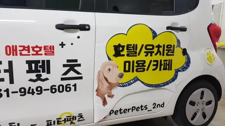 레이 차량광고 랩핑 #피터펫츠 #덕이동차량광고 / 일산,김포,파주