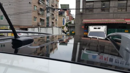 쏘렌토 구형 루프스킨 재 시공 #중국산필름 #저가필름 / 일산,김포,파주