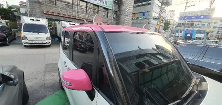 레이 루프스킨 패키지 재 시공 #명진카스킨 #레이투톤 / 일산,김포,파주
