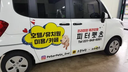 레이 차량광고 랩핑 #피터펫츠 #덕이동차량광고 / 일산,김포,파주