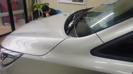 카니발 애견유치원 차량 광고랩핑 #애견유치원 #명진카스킨 / 일산,김포,파주