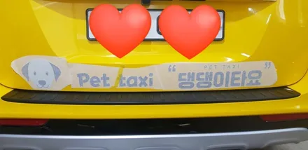 카니발 전체랩핑 & 차랭광고 #댕댕이타요 #광고차량랩핑 / 일산,김포,파주