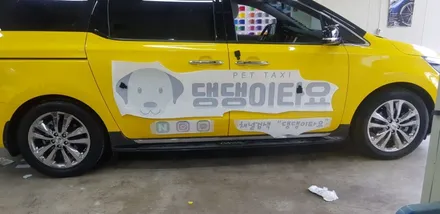 카니발 전체랩핑 & 차랭광고 #댕댕이타요 #광고차량랩핑 / 일산,김포,파주