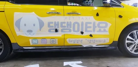 카니발 전체랩핑 & 차랭광고 #댕댕이타요 #광고차량랩핑 / 일산,김포,파주