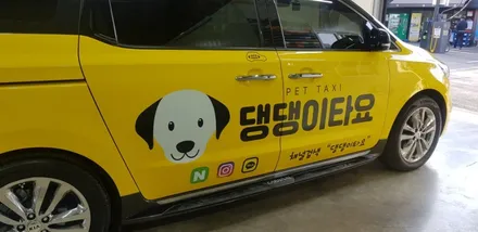 카니발 전체랩핑 & 차랭광고 #댕댕이타요 #광고차량랩핑 / 일산,김포,파주