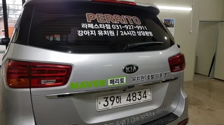 카니발 애견유치원 차량 광고랩핑 #애견유치원 #명진카스킨 / 일산,김포,파주