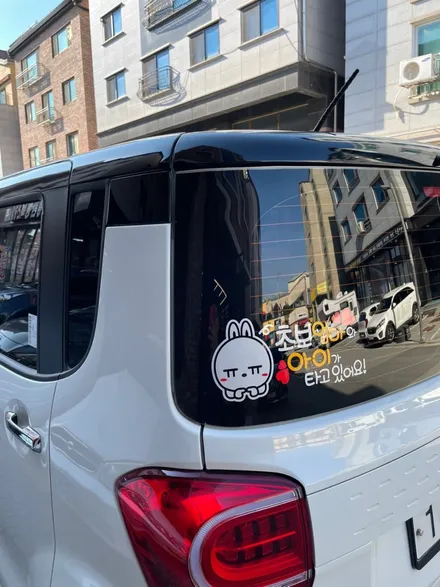 화성동탄 레이 루프스킨 재시공 / 동탄 방교동