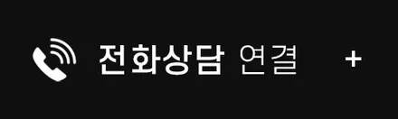 동탄 카니발 필러 트렁크 크롬죽이기 후기 / 동탄 방교동