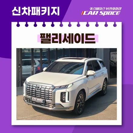 카스페이스 부산사하 신차패키지로 확인! 팰리세이드 환상 콜라보 / 부산 사하구 신평동