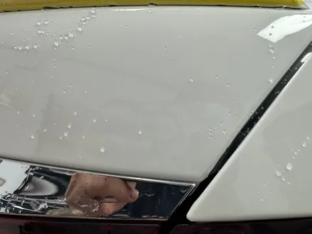 벤츠 e53 amg 전체 ppf 보호필름 시공 / 인천 남동구 논현동