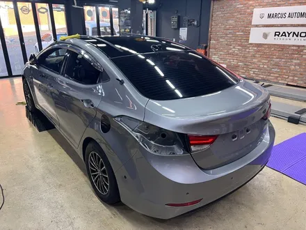 부산 전체랩핑 사상 주례 - 아반테MD 에이버리 카마인 레드 전체랩핑 / 부산 사상구